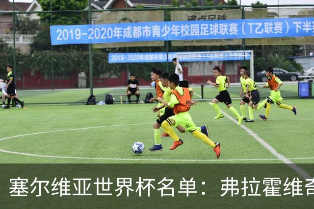 塞尔维亚世界杯名单：弗拉霍维奇领衔 古德利在列